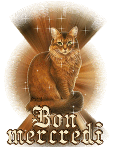 Gif animé Bon mercredi chat